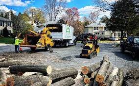  Flemington, GA Tree Removal Pros