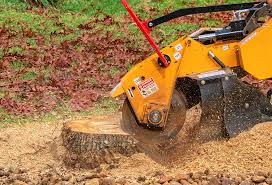 Best Stump Grinding and Removal  in Flemington, GA